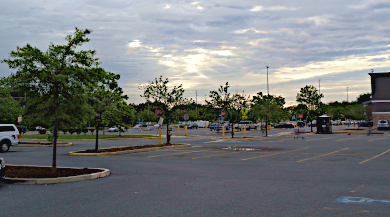 Dorchester Square Mall parking area